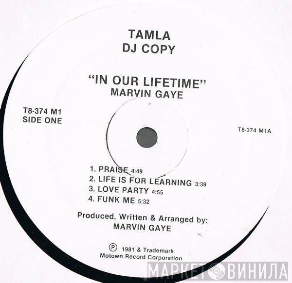  Marvin Gaye  - In Our Lifetime