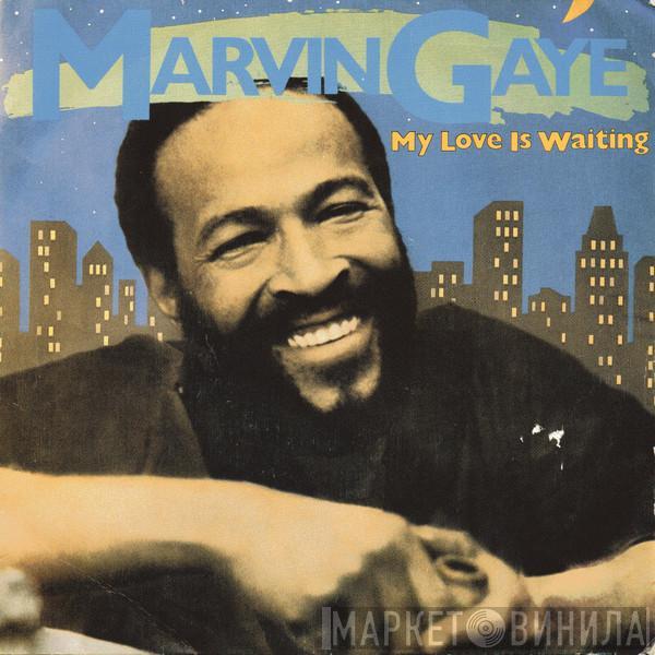  Marvin Gaye  - My Love Is Waiting