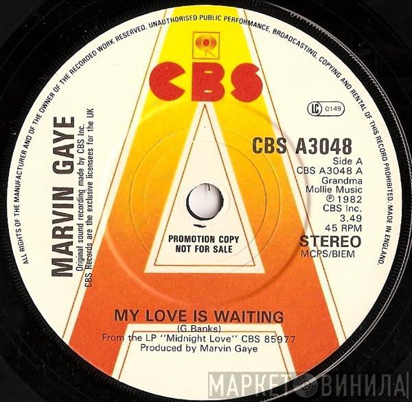 Marvin Gaye - My Love Is Waiting