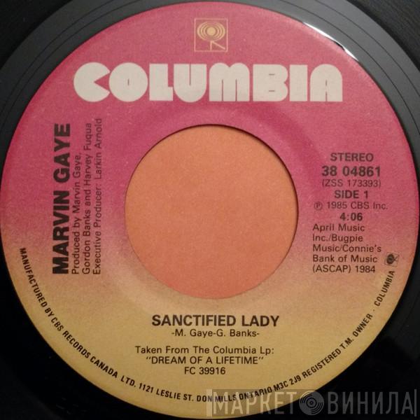  Marvin Gaye  - Sanctified Lady