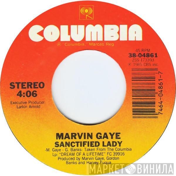 Marvin Gaye - Sanctified Lady