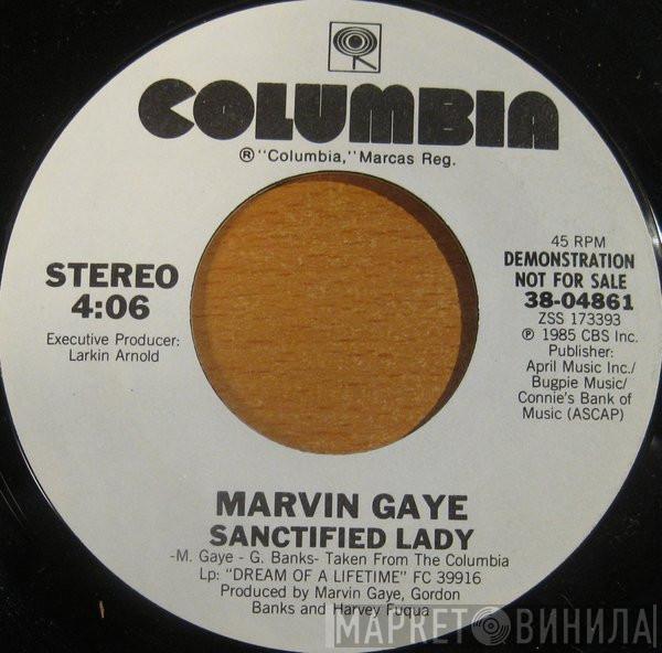  Marvin Gaye  - Sanctified Lady
