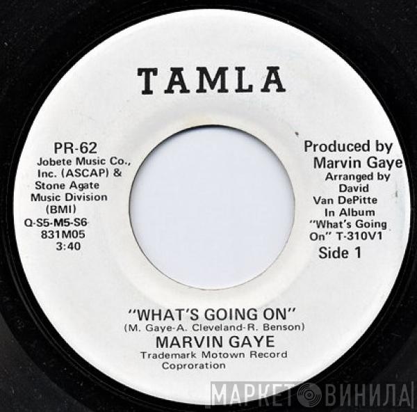 Marvin Gaye - What's Going On / Mercy Mercy Me (The Ecology)