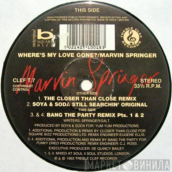 Marvin Springer - Where's My Love Gone?