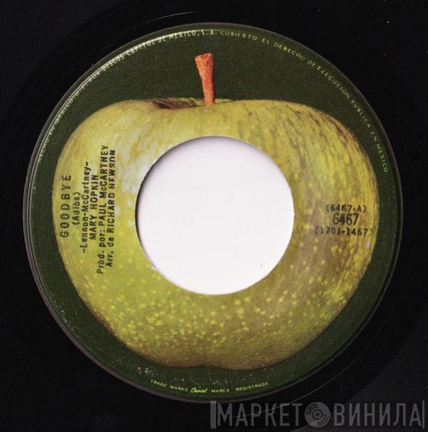  Mary Hopkin  - Goodbye