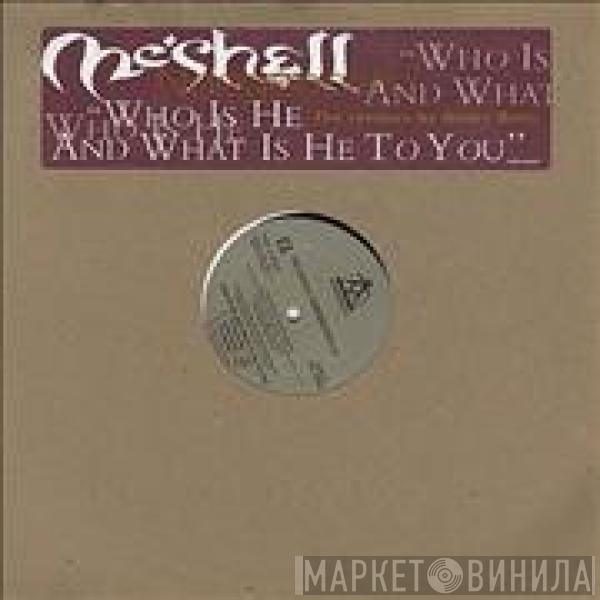 Me'Shell NdegéOcello - Who Is He And What Is He To You