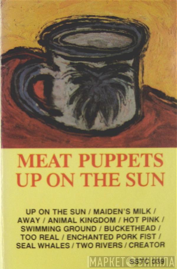 Meat Puppets - Up On The Sun