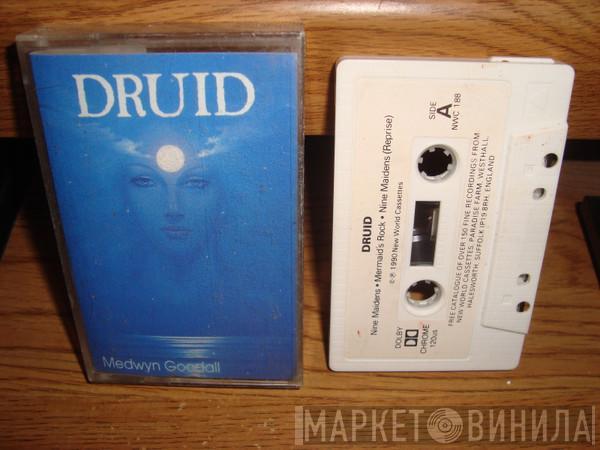 Medwyn Goodall - Druid