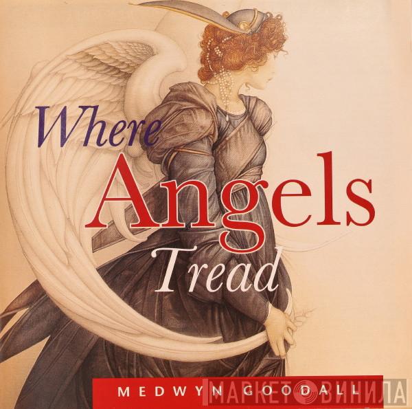  Medwyn Goodall  - Where Angels Tread
