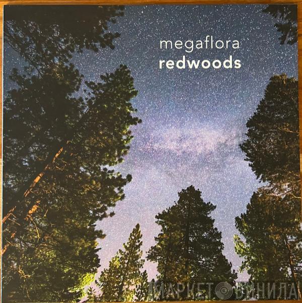 Megaflora - redwoods