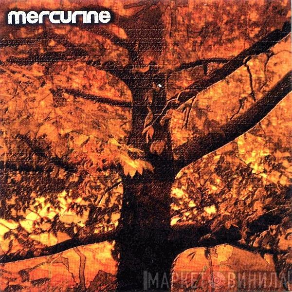 Mercurine - Waiting For Another Fall