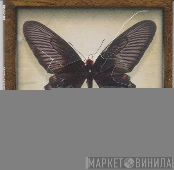  - Metamorphosis