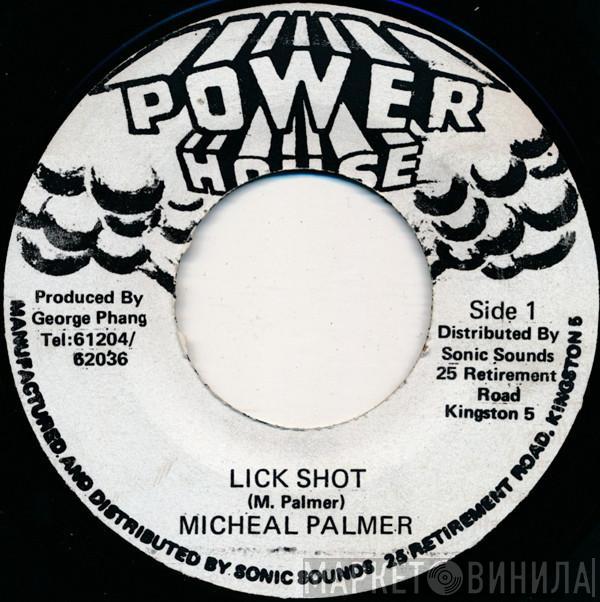 Michael Palmer - Lick Shot