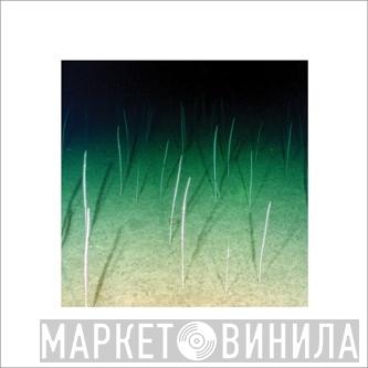 Mike Weis - Loop Current / Raft