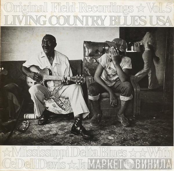  - Mississippi Delta Blues