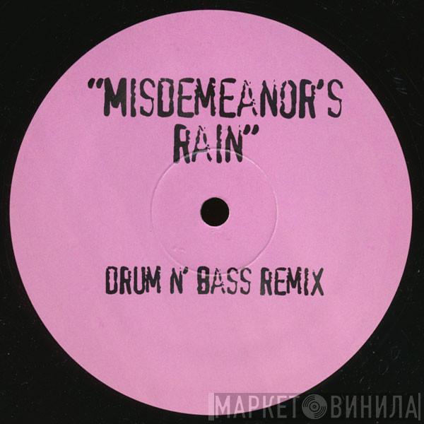  Missy Elliott  - Misdemeanor's Rain