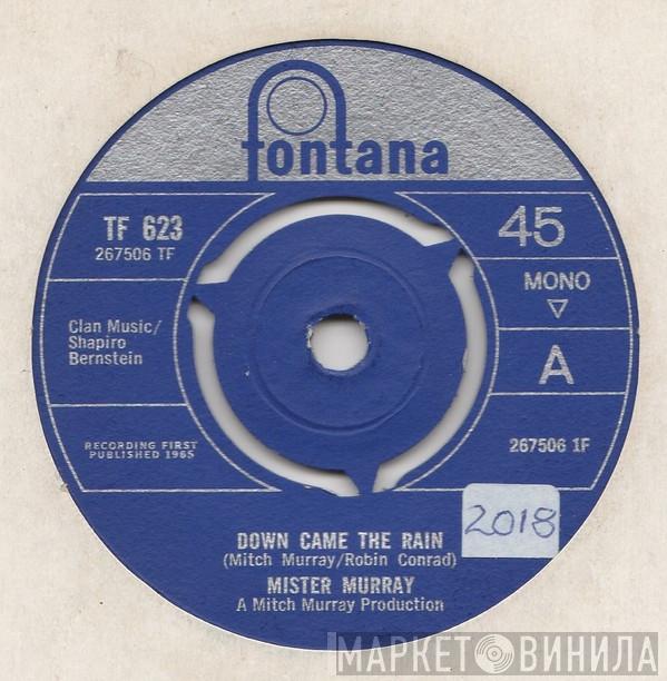Mister Murray - Down Came The Rain
