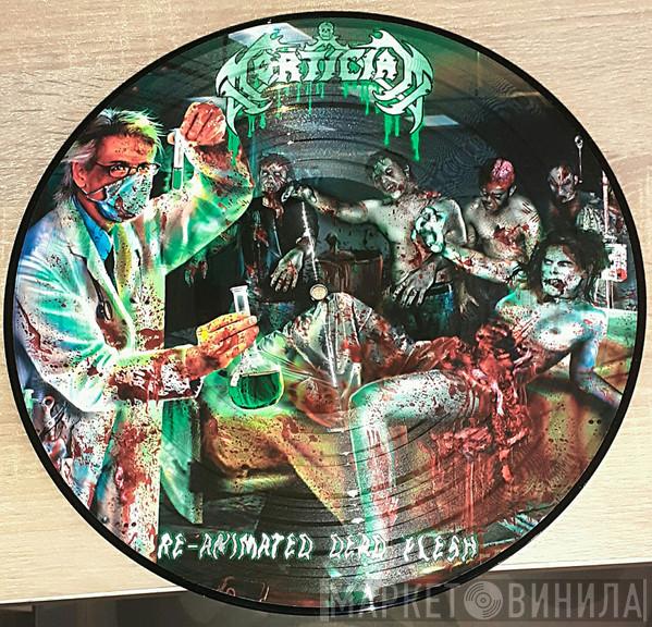  Mortician  - Re-Animated Dead Flesh