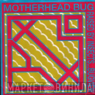 Motherhead Bug - Raised By Insects ... Bugview