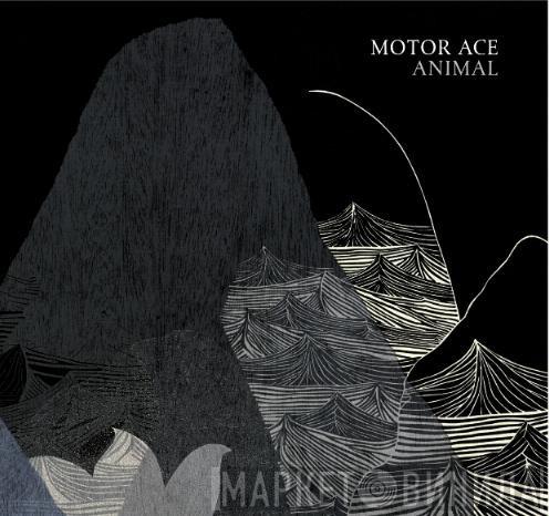  Motor Ace  - Animal