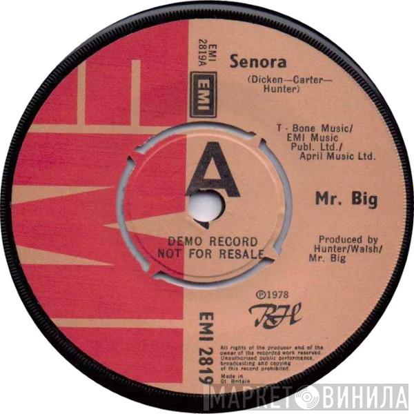 Mr Big - Senora
