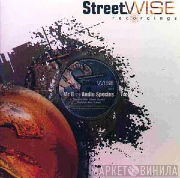 Mr. B , Audio Species - Next School