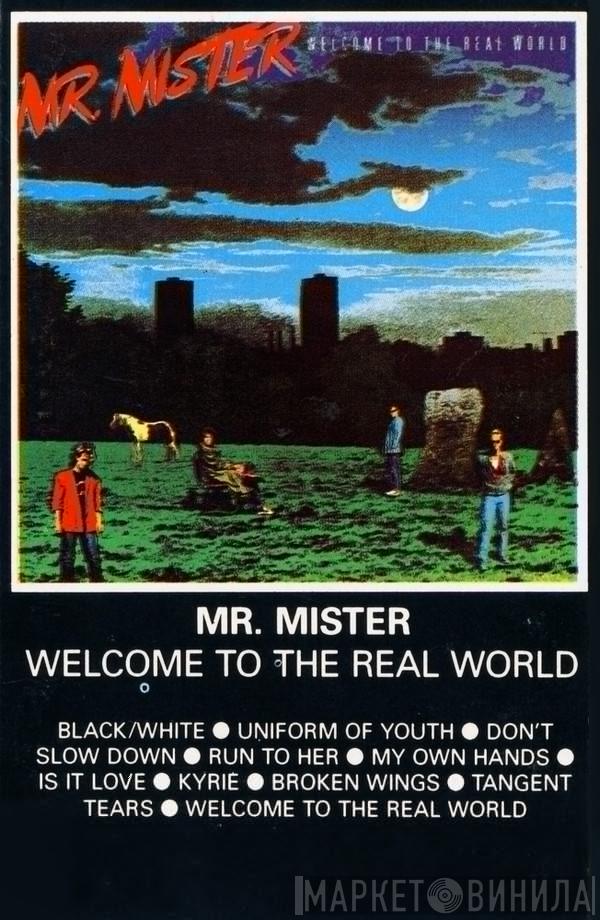 Mr. Mister - Welcome To The Real World