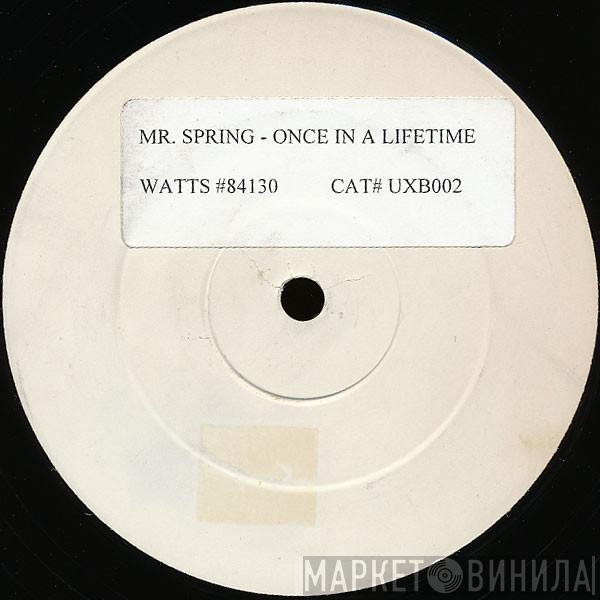 Mr. Spring - Once In A Lifetime