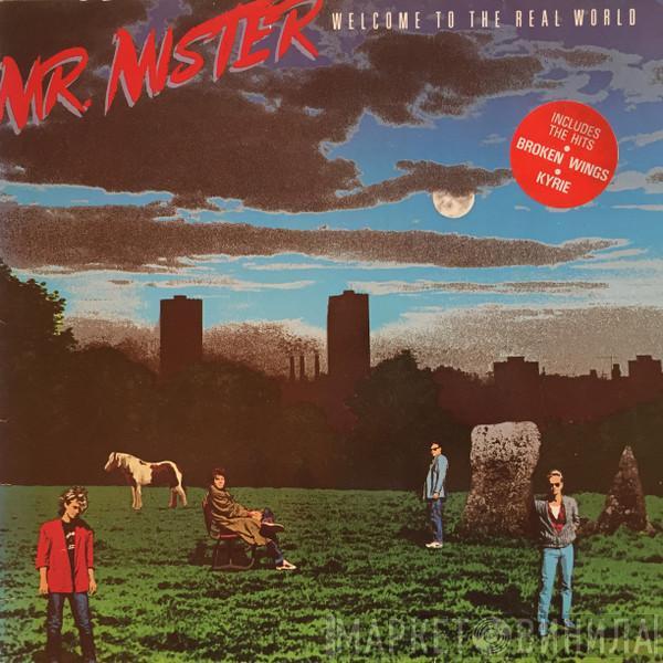 Mr. Mister - Welcome To The Real World