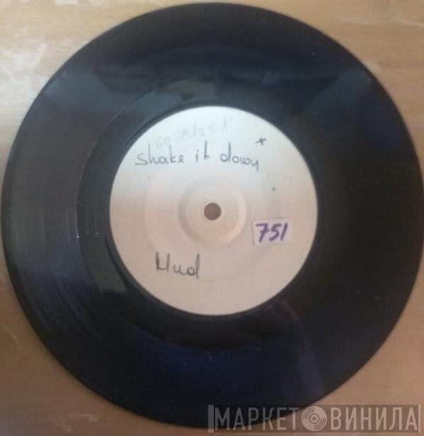  Mud  - Shake It Down