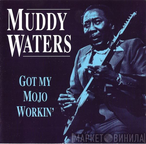 Muddy Waters - Got My Mojo Workin'