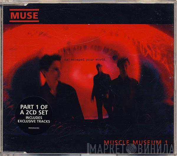 Muse - Muscle Museum