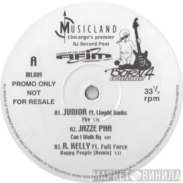  - Musicland 809