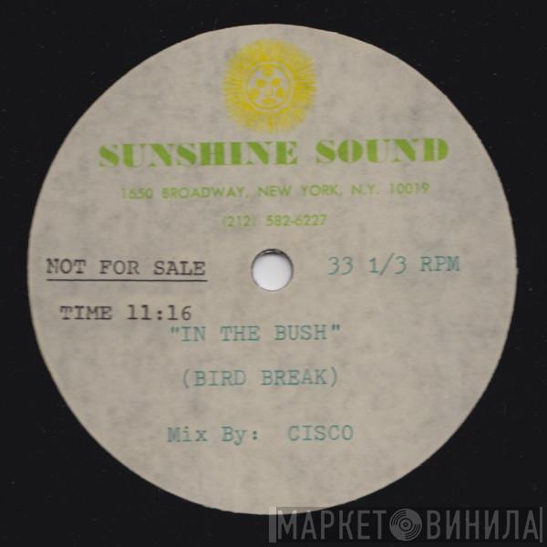  Musique  - In The Bush (Bird Break)