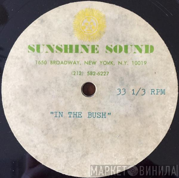  Musique  - In The Bush