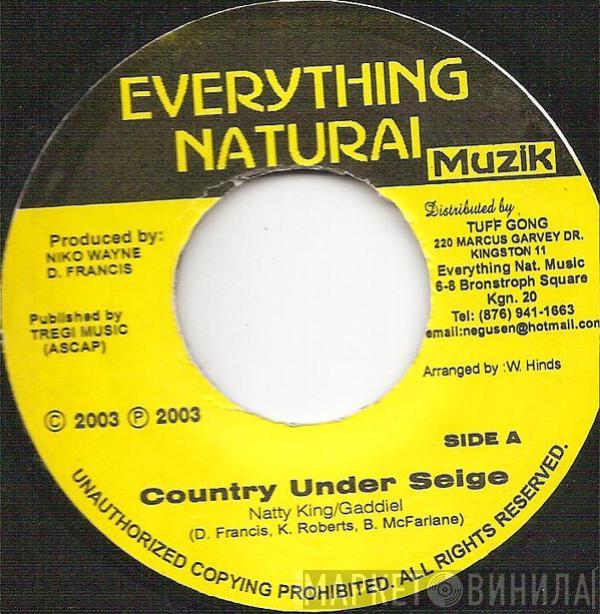 Natty King, Gaddiel - Country Under Seige