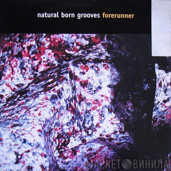 Natural Born Grooves - Forerunner