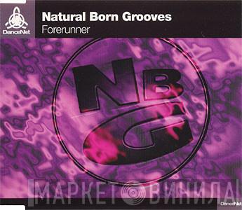  Natural Born Grooves  - Forerunner