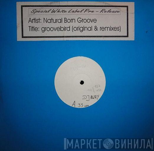  Natural Born Grooves  - Groovebird (Original & Remixes)