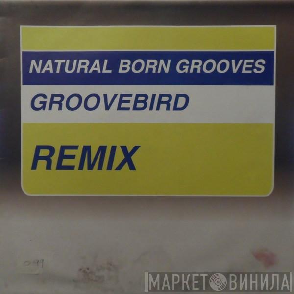 Natural Born Grooves - Groovebird (Remix)