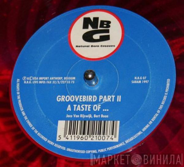 Natural Born Grooves - Groovebird Part II