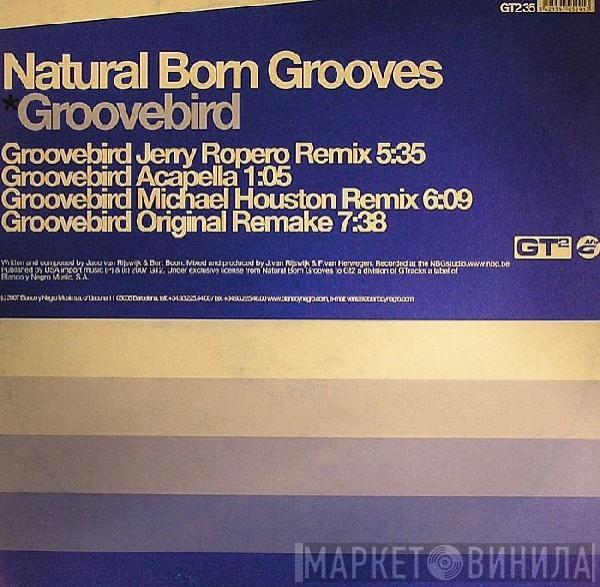  Natural Born Grooves  - Groovebird