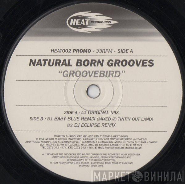  Natural Born Grooves  - Groovebird