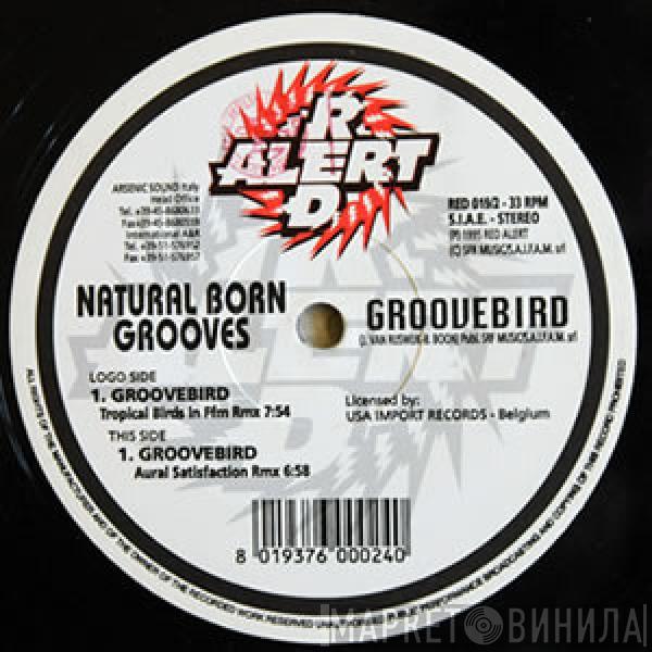  Natural Born Grooves  - Groovebird