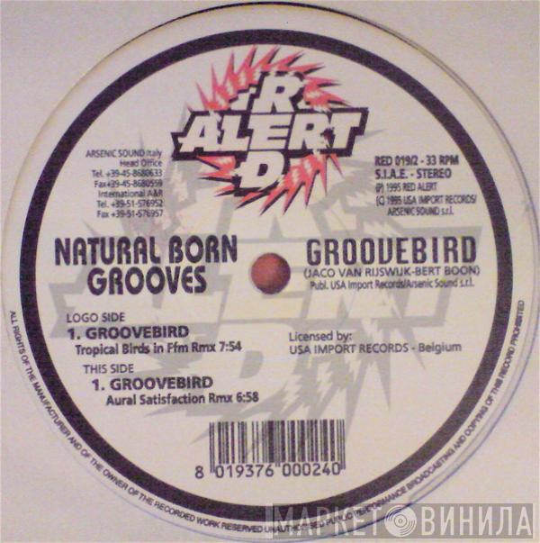  Natural Born Grooves  - Groovebird