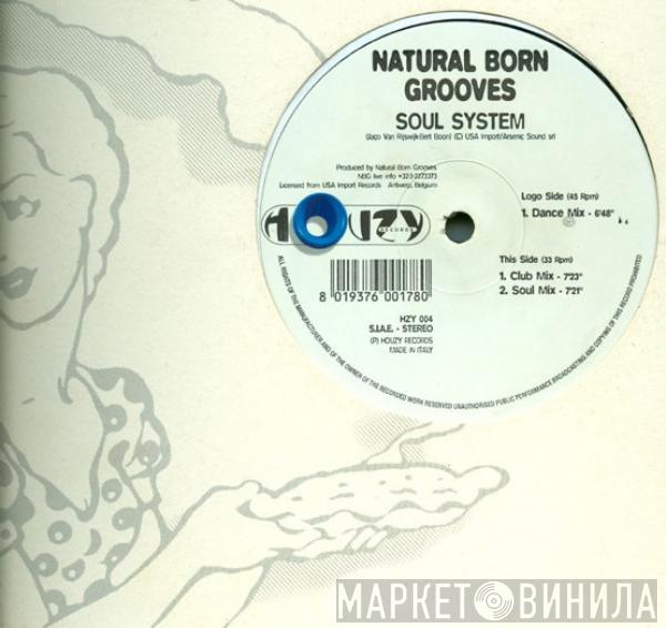  Natural Born Grooves  - Soul System