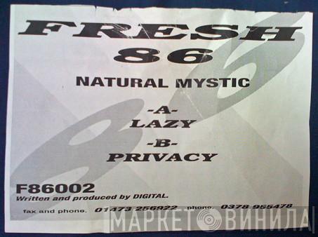 Natural Mystic - Lazy / Privacy