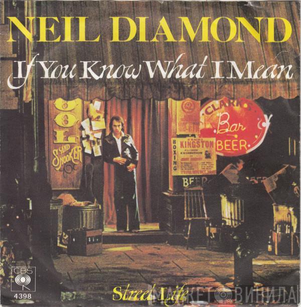  Neil Diamond  - If You Know What I Mean