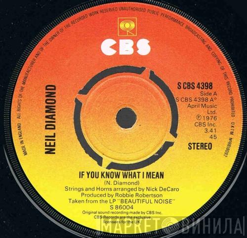 Neil Diamond - If You Know What I Mean