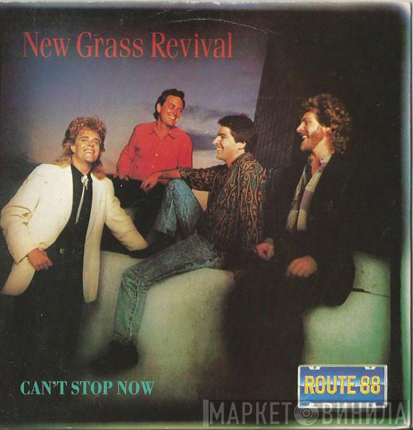 New Grass Revival - Can't Stop Now